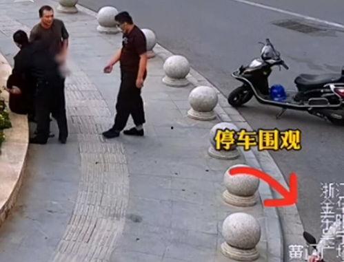 围观吃瓜视频,吃瓜视频背后的社会现象