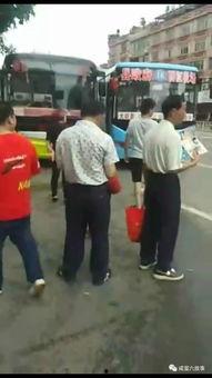 围观吃瓜视频,吃瓜视频背后的社会现象