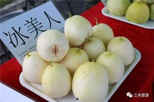 吃雪梨瓜视频大全集