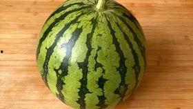 吃一个大瓜的视频大全,揭秘热门吃瓜视频大全