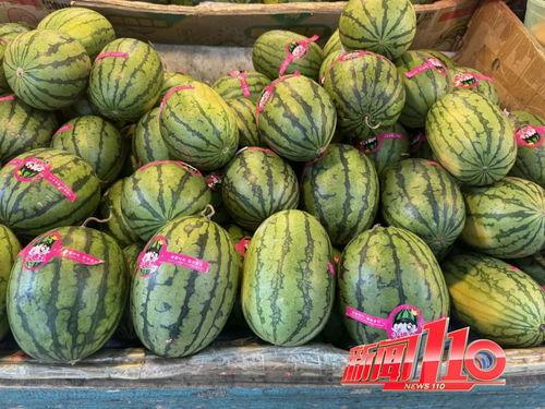 吃一个大瓜的视频大全,揭秘热门吃瓜视频大全