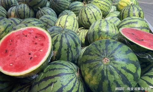 吃一个大瓜的视频大全,揭秘热门吃瓜视频大全