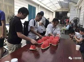 成华区吃瓜视频,揭秘社区生活百态