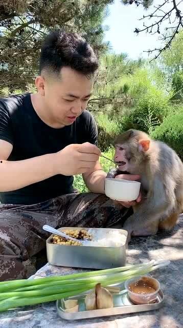 小猴吃瓜结局视频,瓜熟蒂落，智慧果实的收获