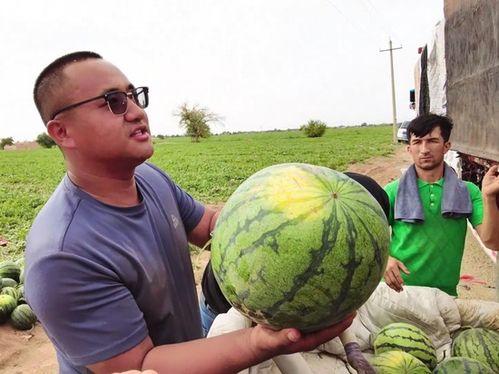 德宏吃瓜新闻视频最新消息