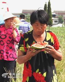 吃瓜老太太视频,揭秘网络红人的真实生活