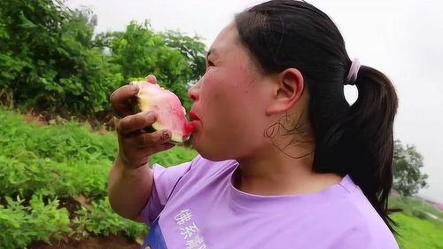 在田里摘瓜吃视频,体验摘瓜吃瓜的田园乐趣