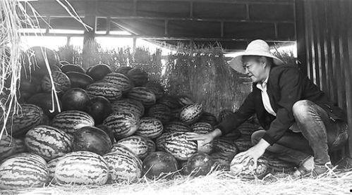 中缅边境吃瓜群众视频