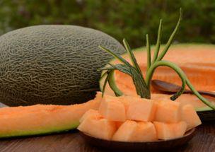 越南人吃哈密瓜视频,哈密瓜的独特风味体验