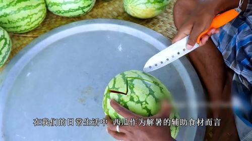 西瓜视频农村小伙吃瓜,体验田园生活乐趣
