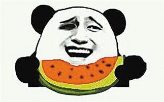 禁毒吃瓜群众视频素材无水印,吃瓜群众视角下的真实素材