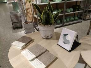 郑州西亚斯长椅吃瓜视频