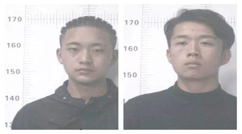 吃瓜群众戳进来的视频在线观看,吃瓜群众热议的幕后真相