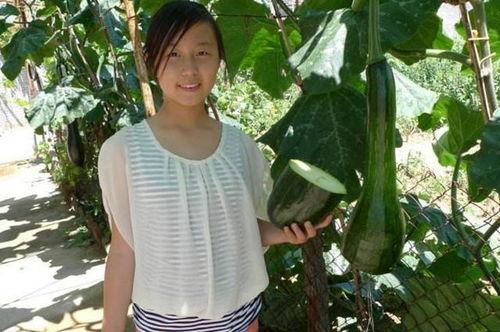 陪女人吃大瓜视频播放,陪你一起探索美食与娱乐的完美融合