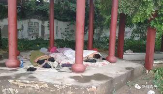 自制吃瓜凉亭视频教程