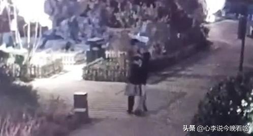 刑侦现场吃瓜视频,揭秘案件背后的惊人真相