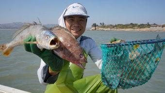 渔人阿烽吃佛手瓜视频,解锁家常美味新秘籍