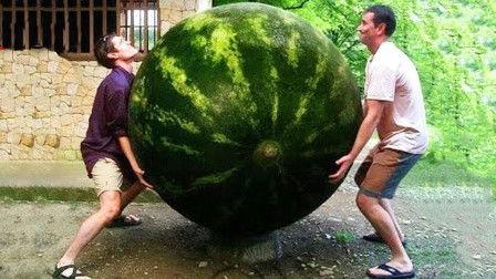 世界吃瓜法制视频大全最新,世界吃瓜法制视频大全精选盘点