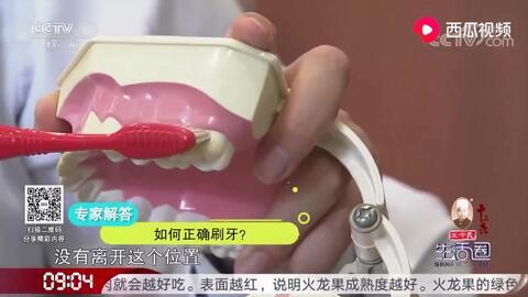 吃瓜怎么刷牙教程视频全集,全方位刷牙教程视频全集解析