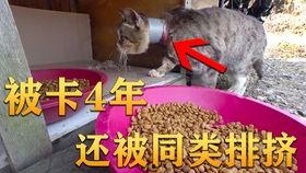 吃瓜视频如何销毁作品,揭秘作品销毁全流程