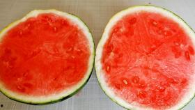 吃瓜视频如何销毁作品,揭秘作品销毁全流程