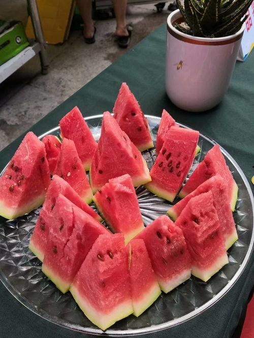 谁是吃瓜王比赛视频