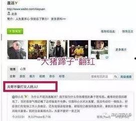 电视台黑网吃瓜爆料往期回顾视频,回顾往期精彩瞬间