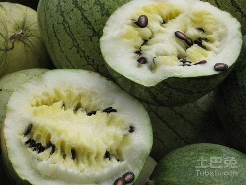 吃籽瓜视频大全,解锁夏日消暑新选择