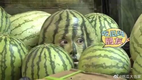 王鹤棣吃瓜搞笑综艺视频,搞笑综艺视频引网友热议