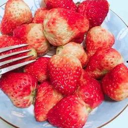 蜜瓜草莓能一起吃吗视频,营养互补还是禁忌相冲？