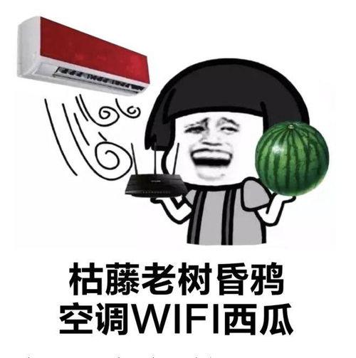 外国人看吃瓜自由视频在线观看,网络视频中的社会现象解读